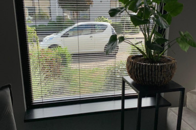 Ambiant suprème Montréal 5551 vinyl