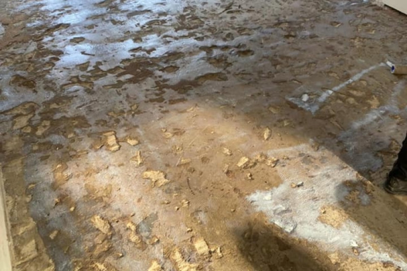 Quia libero consectetur eveniet eum.